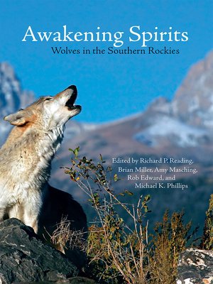 cover image of Awakening Spirits